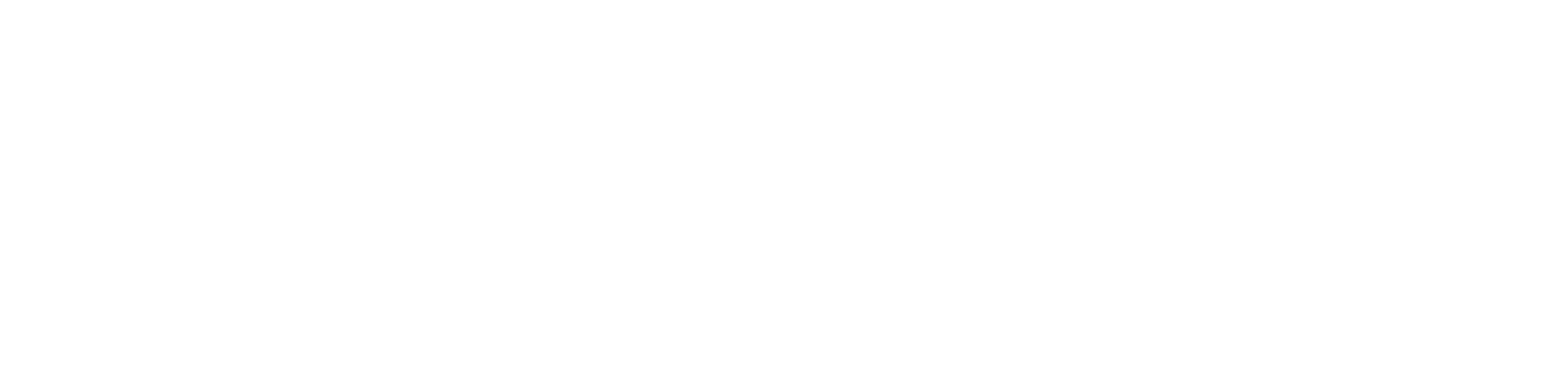 demo system